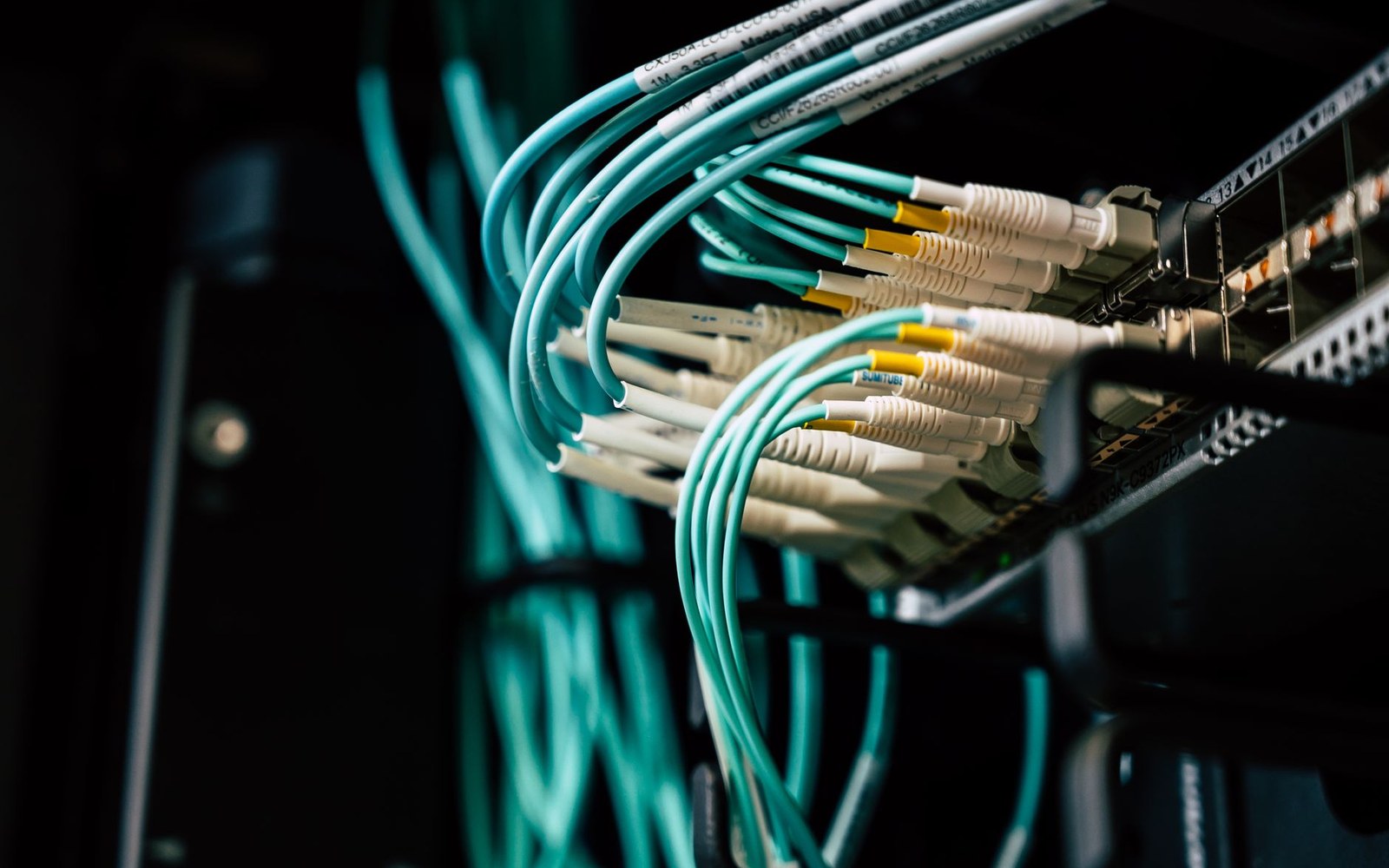 Fiber optic cables plugged into a network switch inside a server rack